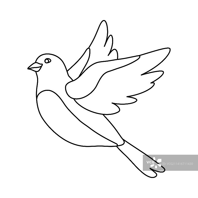 可爱的飞鸟图片图片素材