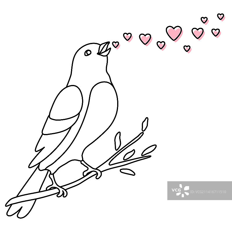 唱歌和栖息的可爱小鸟图片素材