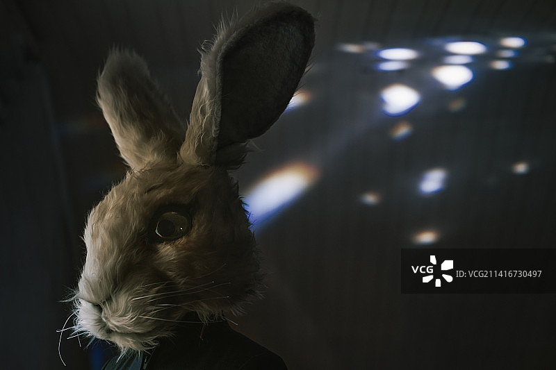 戴着兔子头套的人。2023年是兔生肖，非常适合做封面图片素材