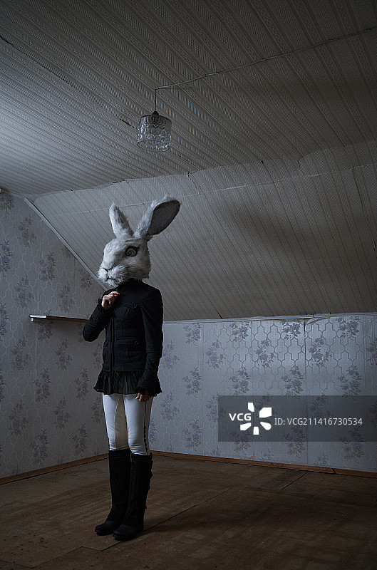 人戴着兔子头套站在复古房间里。2023年是兔生肖，适合做书的封面图片素材