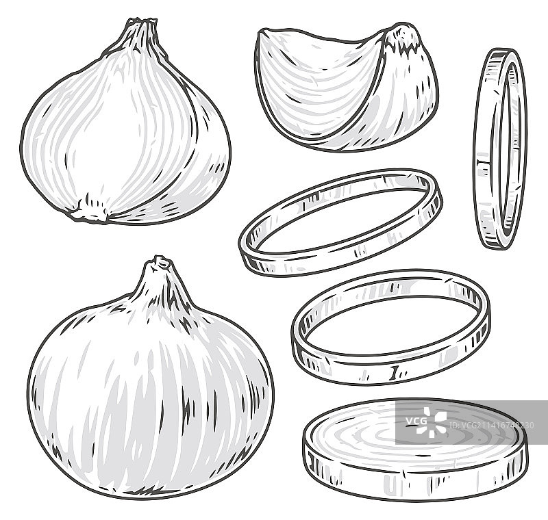 单色洋葱碎标识图片素材