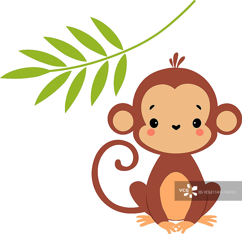 可爱的顽皮猴子图片素材