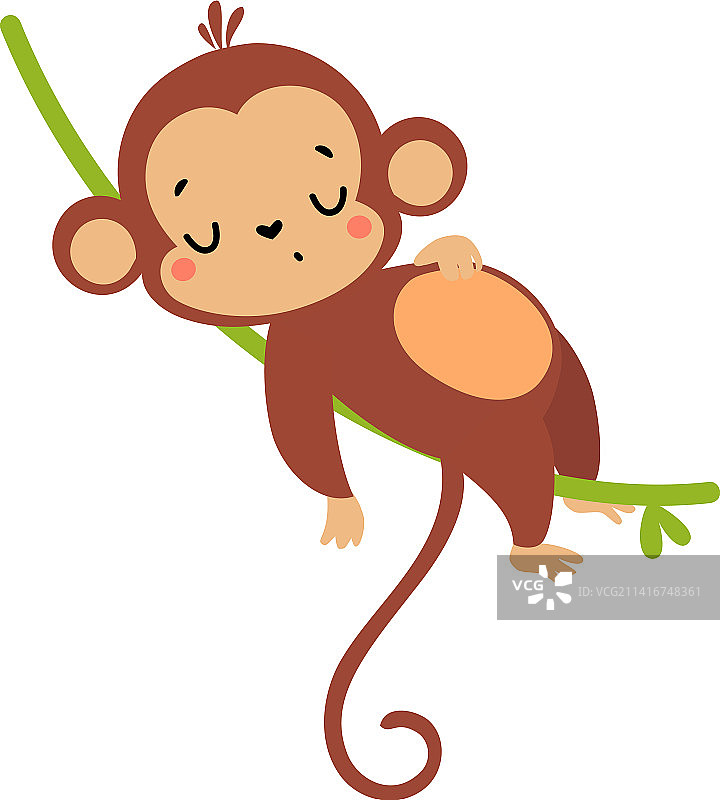 长尾巴的可爱顽皮猴子躺着图片素材