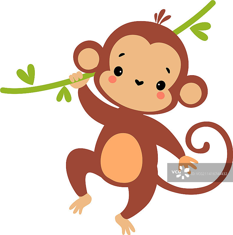 可爱的顽皮猴子，长尾巴悬挂着图片素材