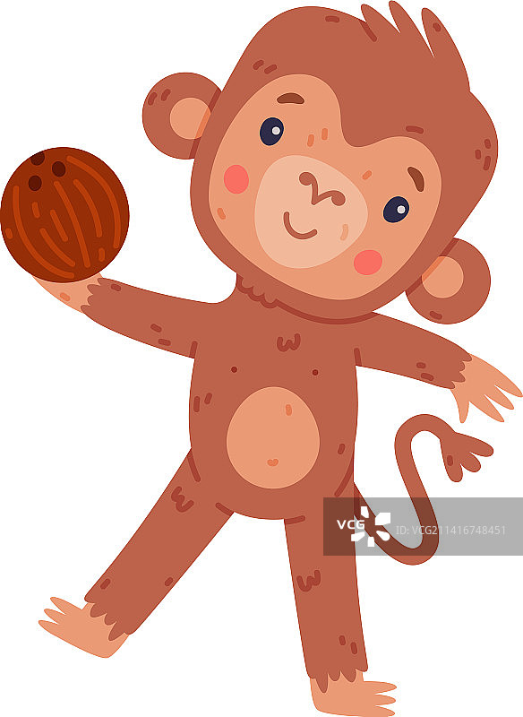 趣味可爱的小猴子玩椰子图片素材