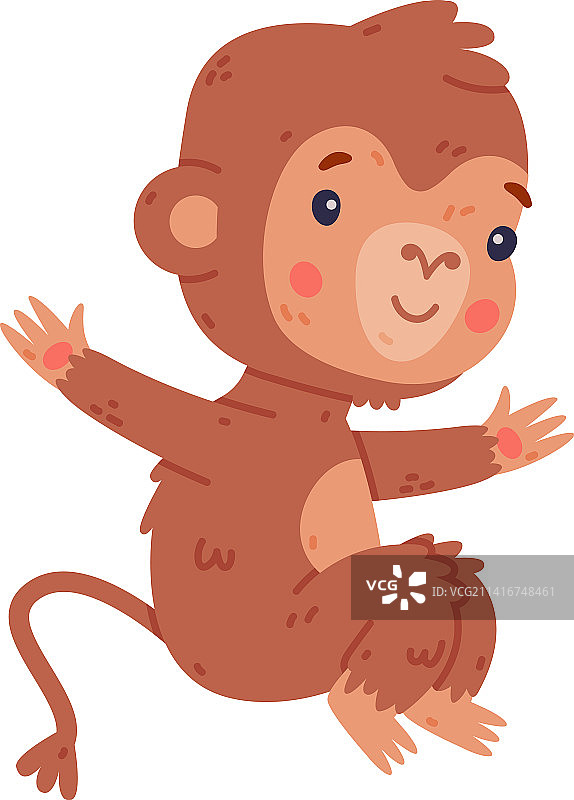 快乐跳跃的可爱非洲小猴子图片素材