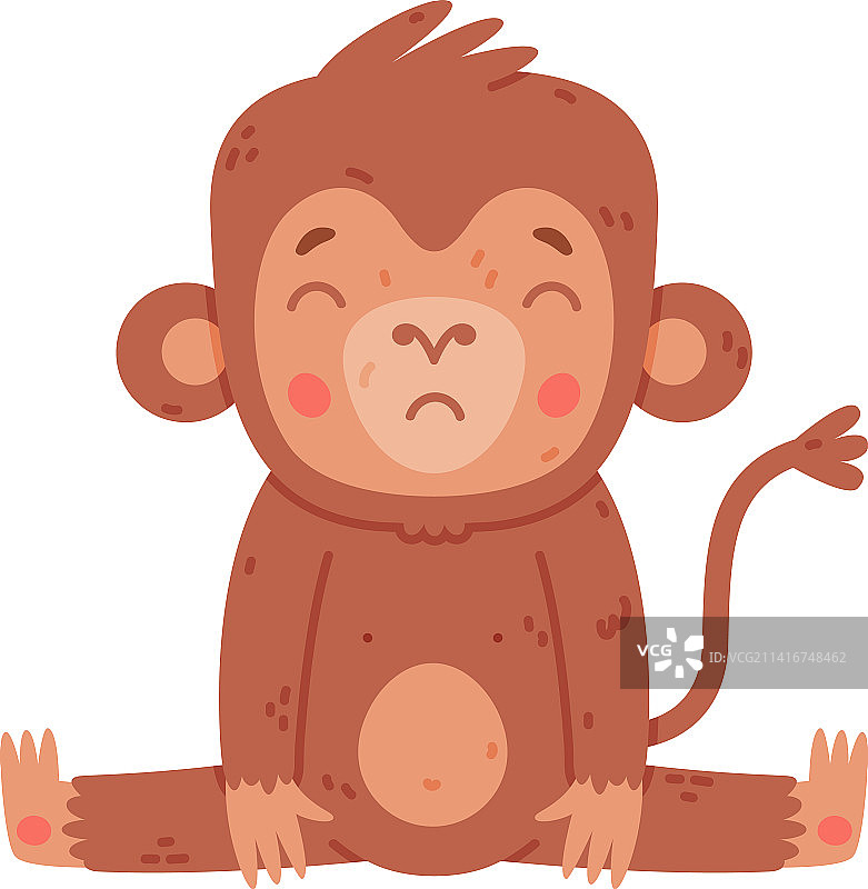 可爱的非洲热带小猴趣味照片图片素材