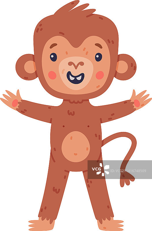 可爱快乐的非洲热带小猴子图片素材