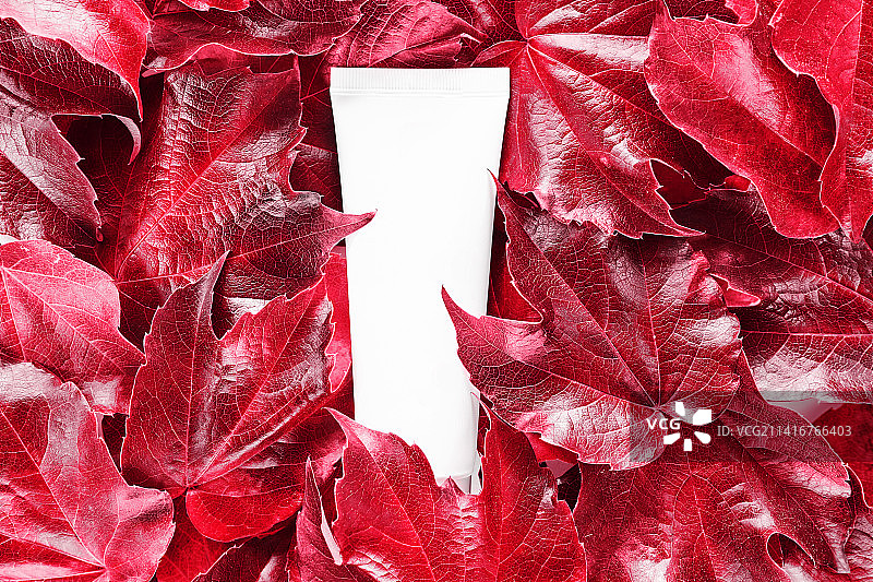 2023年度流行色，万岁洋红化妆品软管样机图片素材