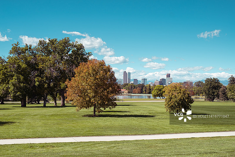 美国的田野树木图片素材