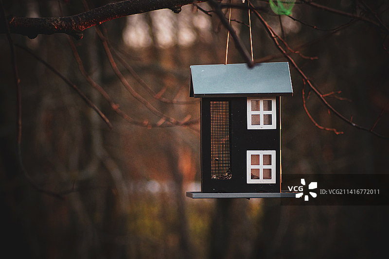 特写：悬挂在树上的鸟舍图片素材
