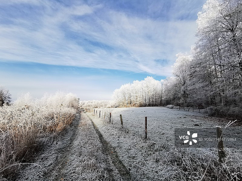 比利时阿尔隆海因施雪原美景图片素材