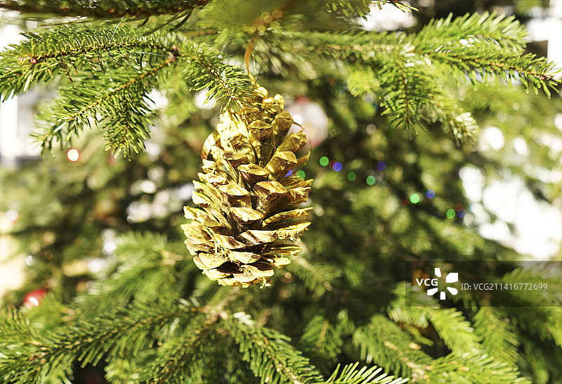 金色橡果和绿色圣诞树与灯光，法国图片素材