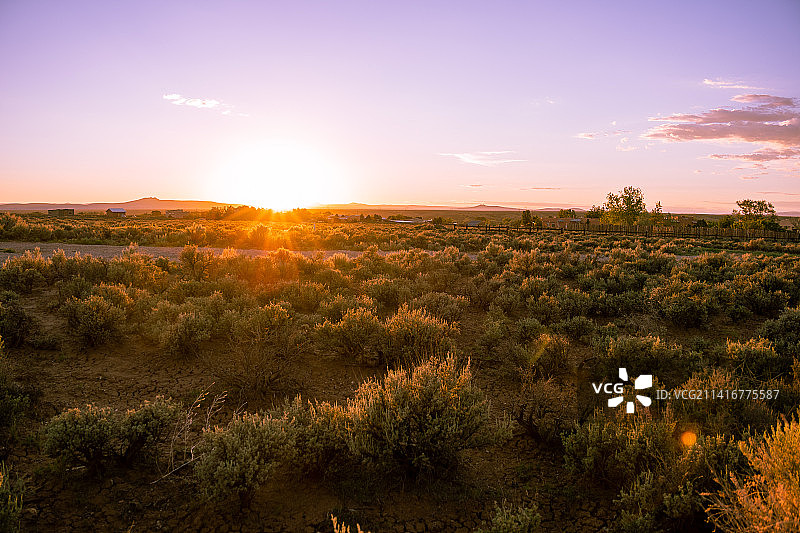 日落时分美国新墨西哥州陶斯的天空下的田野风光图片素材