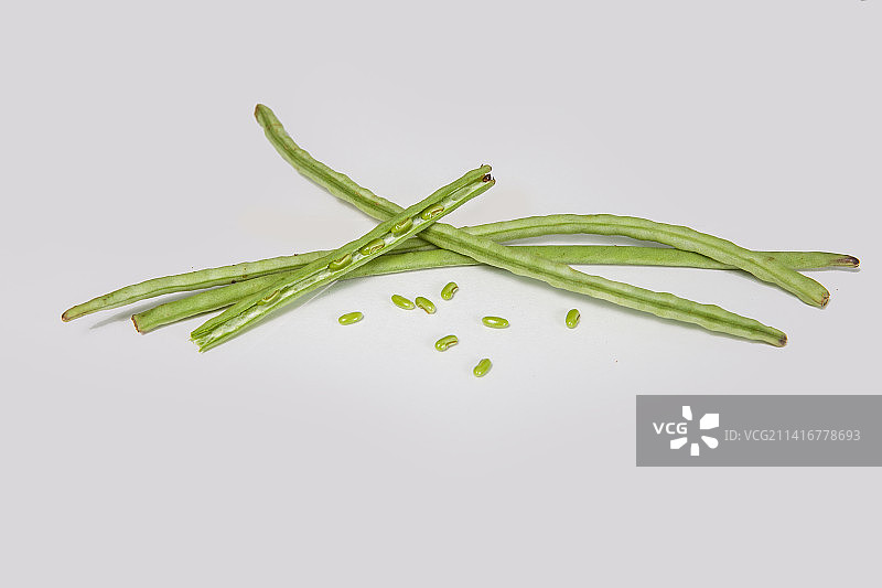 白色背景上的迷迭香特写图片素材