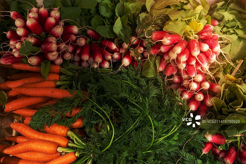 新鲜蔬菜合集：含萝卜和胡萝卜，顶视图图片素材