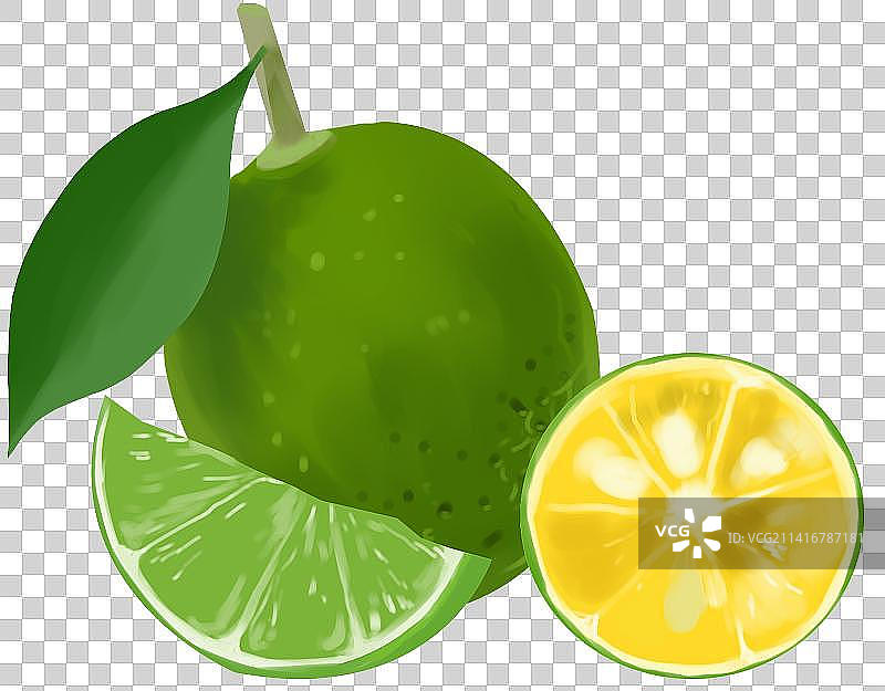 柠檬水果果实橘子桔子橙子美味食物维生素微量元素插画图片素材