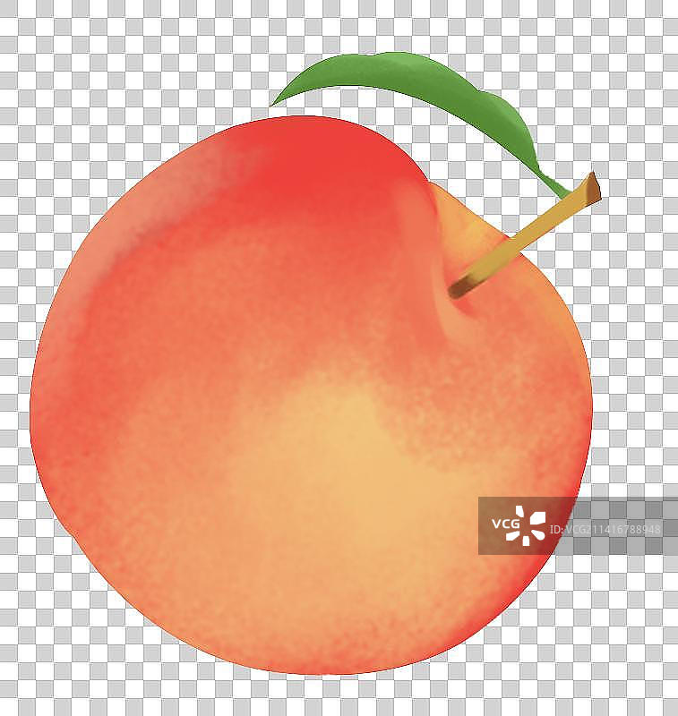 桃子水蜜桃水果果实成熟营养健康食用食材美食元素素材插画图片素材