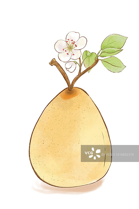 复古风水彩国潮大黄梨图片素材