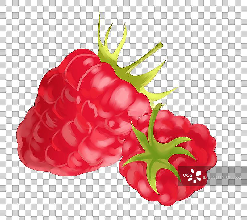 水果食物食材美味味道营养健康元素树莓插画图片素材