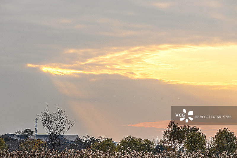 宁静的乡村沐浴在金色夕阳里图片素材