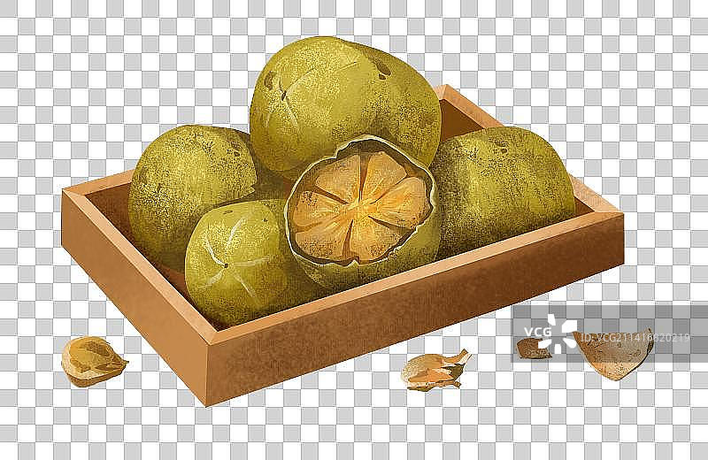中药药材罗汉果图片素材