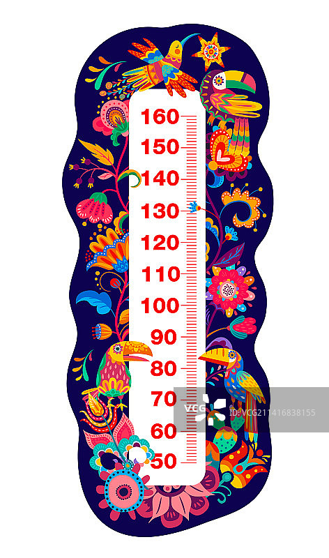 墨西哥蜂鸟和鲜花儿童身高测量表图片素材