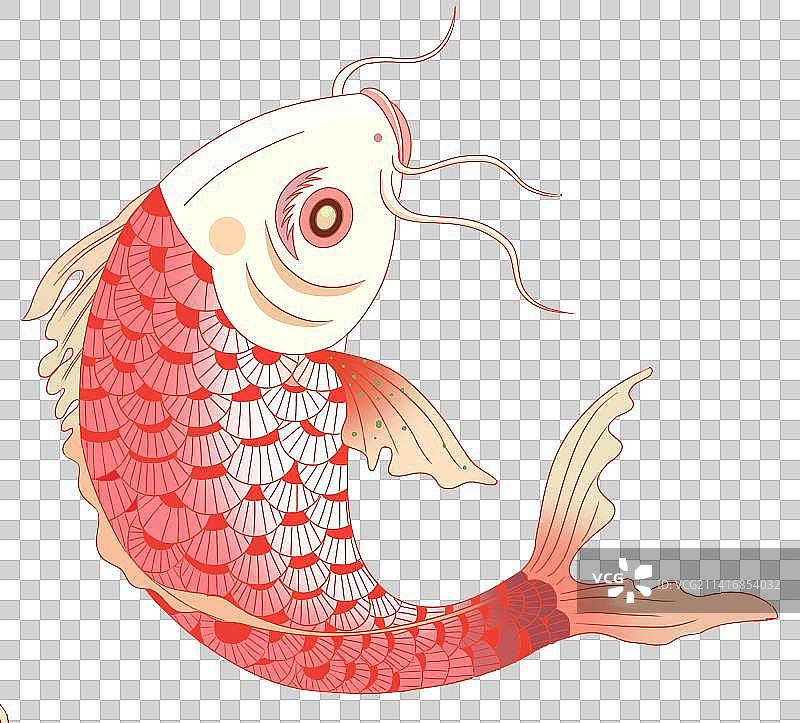 动物鱼类鲤鱼新年新春春节喜庆吉祥庆祝元素素材插画图片素材