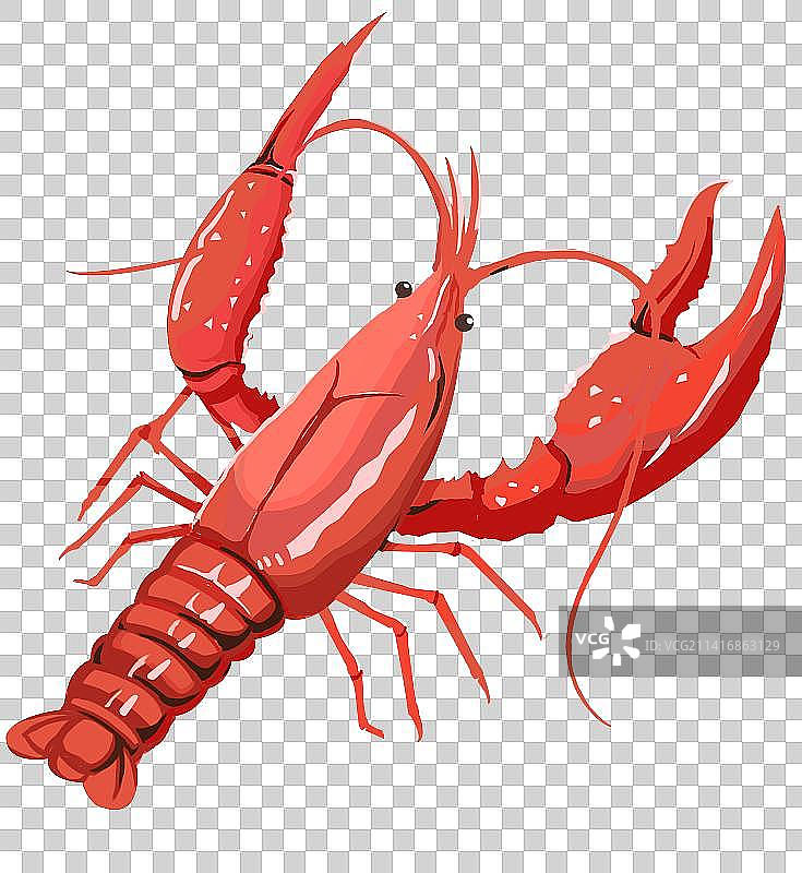 潜江盱眙克氏螯虾小龙虾油焖大虾美味夜宵宵夜小吃插画图片素材