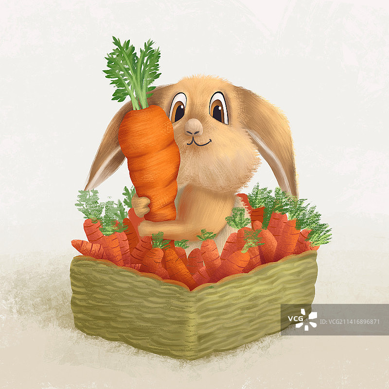 兔子捧着装在篮子里的胡萝卜图片素材