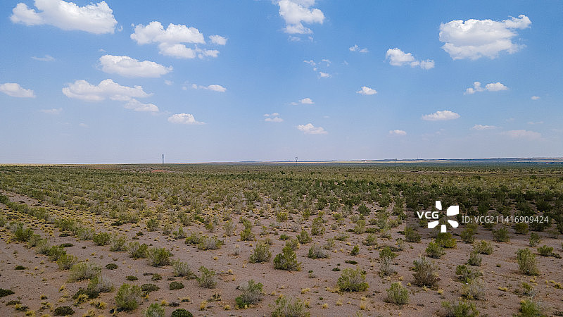 内蒙古阿拉善蚂蚁森林SEE梭梭种植基地图片素材