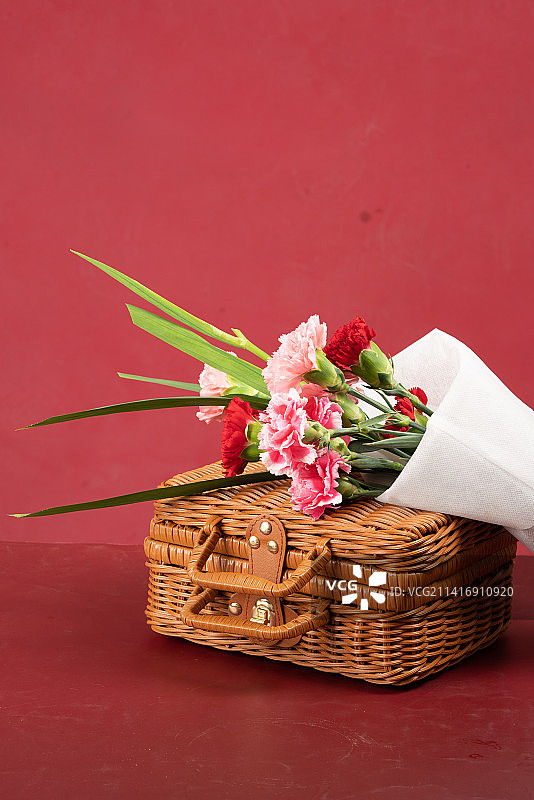 母亲节康乃馨图片素材