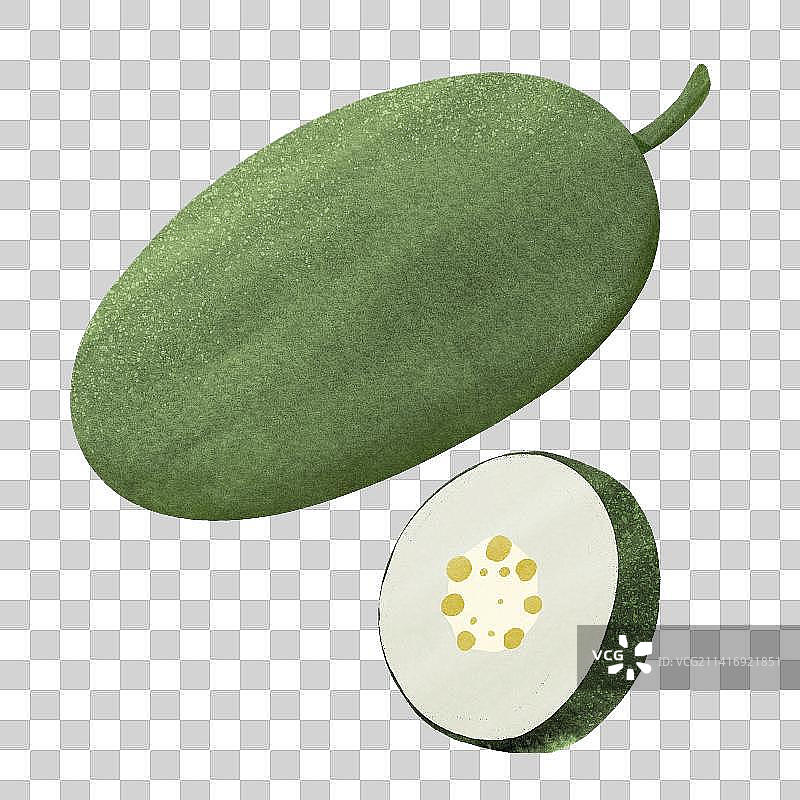 手绘水彩风冬瓜图片素材