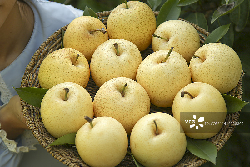 手里拿着新鲜皇冠梨图片素材