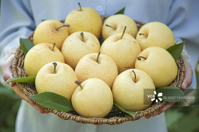 手里拿着新鲜皇冠梨图片素材