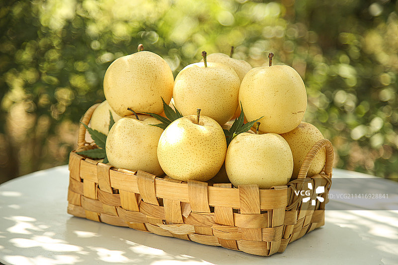 手里拿着新鲜皇冠梨图片素材