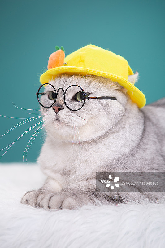 美短内景纯色背景照片图片素材