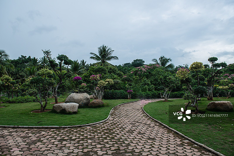 云南西双版纳风光图片素材