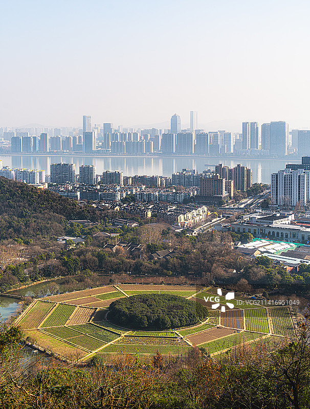 八卦田图片素材