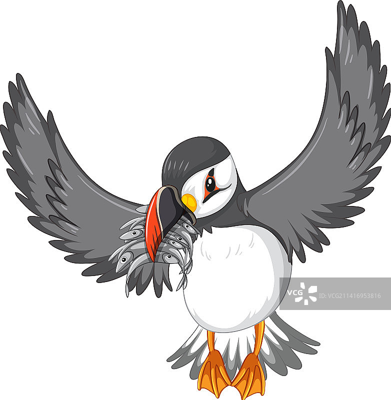 海鹦鸟嘴里叼着鱼图片素材