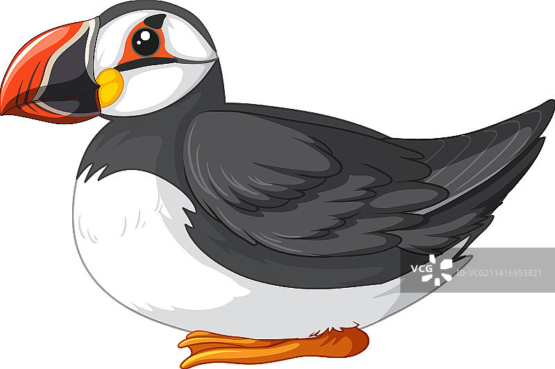 坐姿海鹦图片素材