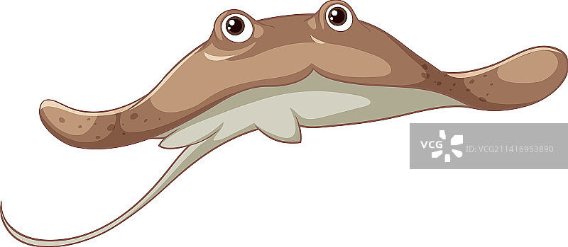 白色背景上孤立的大西洋黄貂鱼图片素材