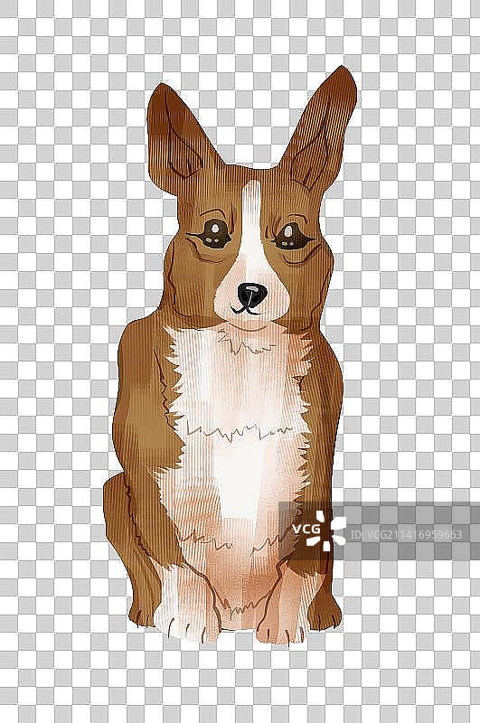 柯基犬插画元素图片素材