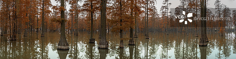 涨渡湖一角图片素材