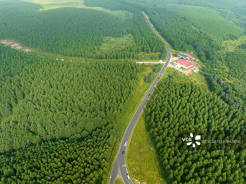 蜿蜒的山路穿过河北承德塞罕坝机械林场图片素材