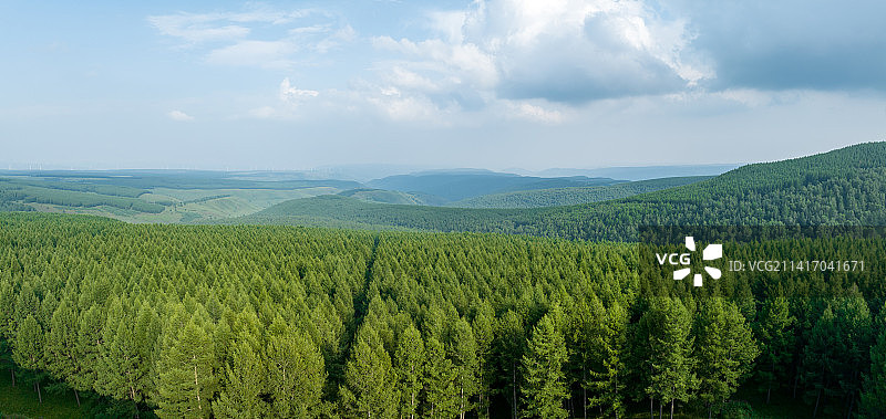 中国河北承德塞罕坝国家森林公园林海航拍图片素材