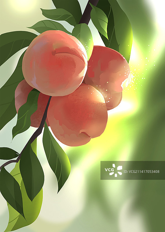 桃子插画图片素材
