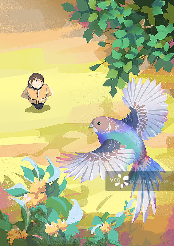 鹦鹉图片素材
