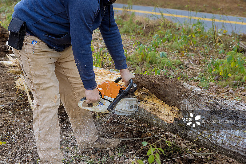 工人在飓风过后锯倒的树木图片素材