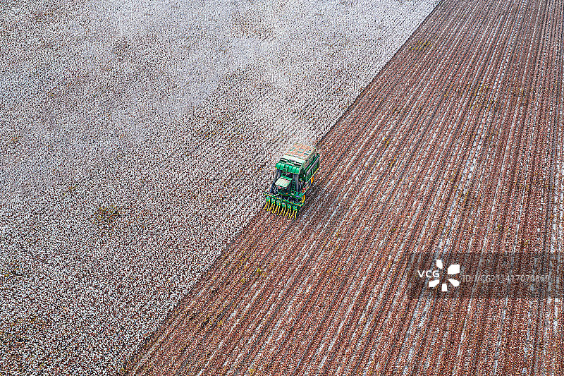 航拍：新疆 机械化收割长绒棉  棉花卷图片素材